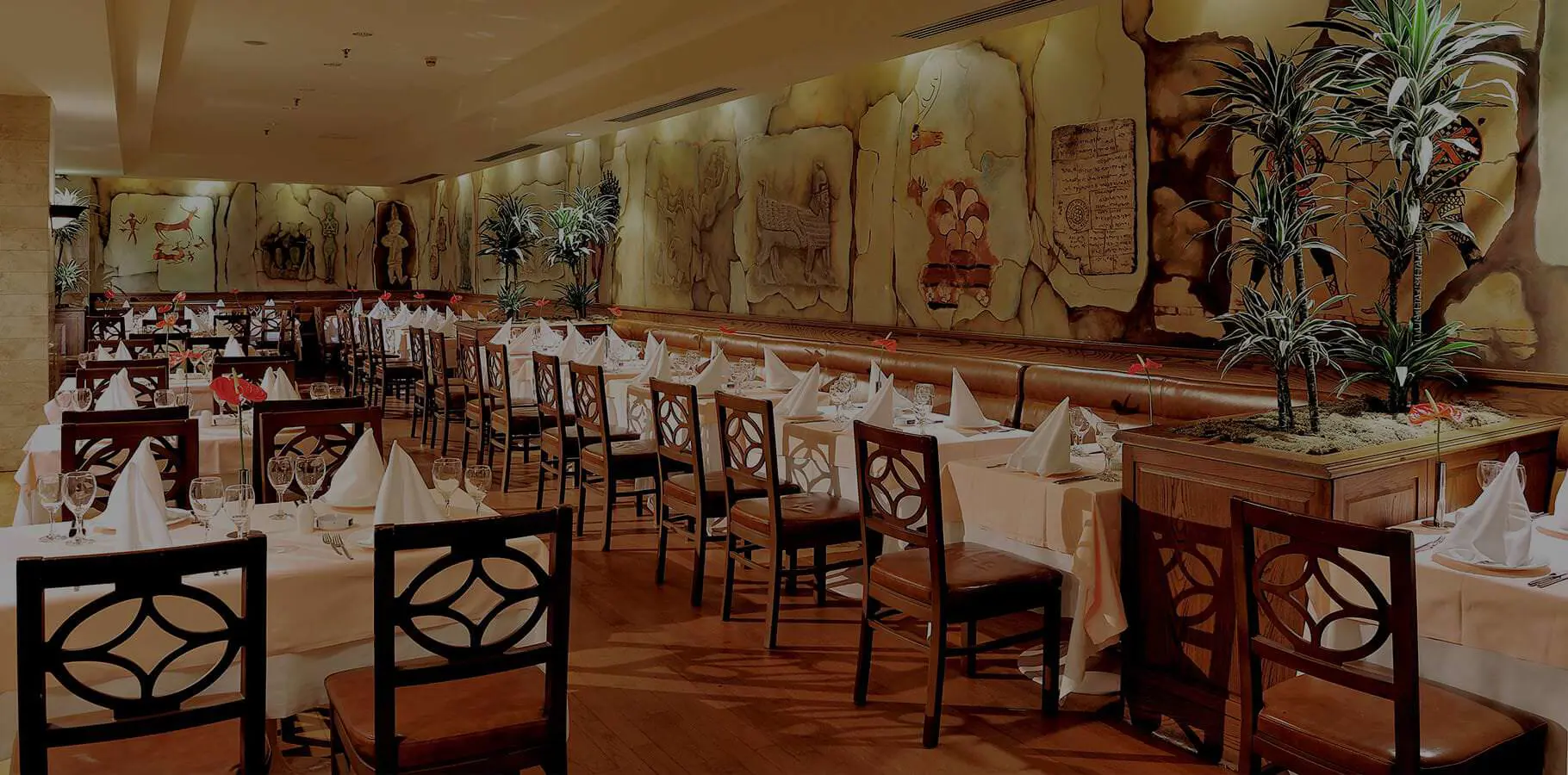 ROBINSON Club Nobilis Hakkında